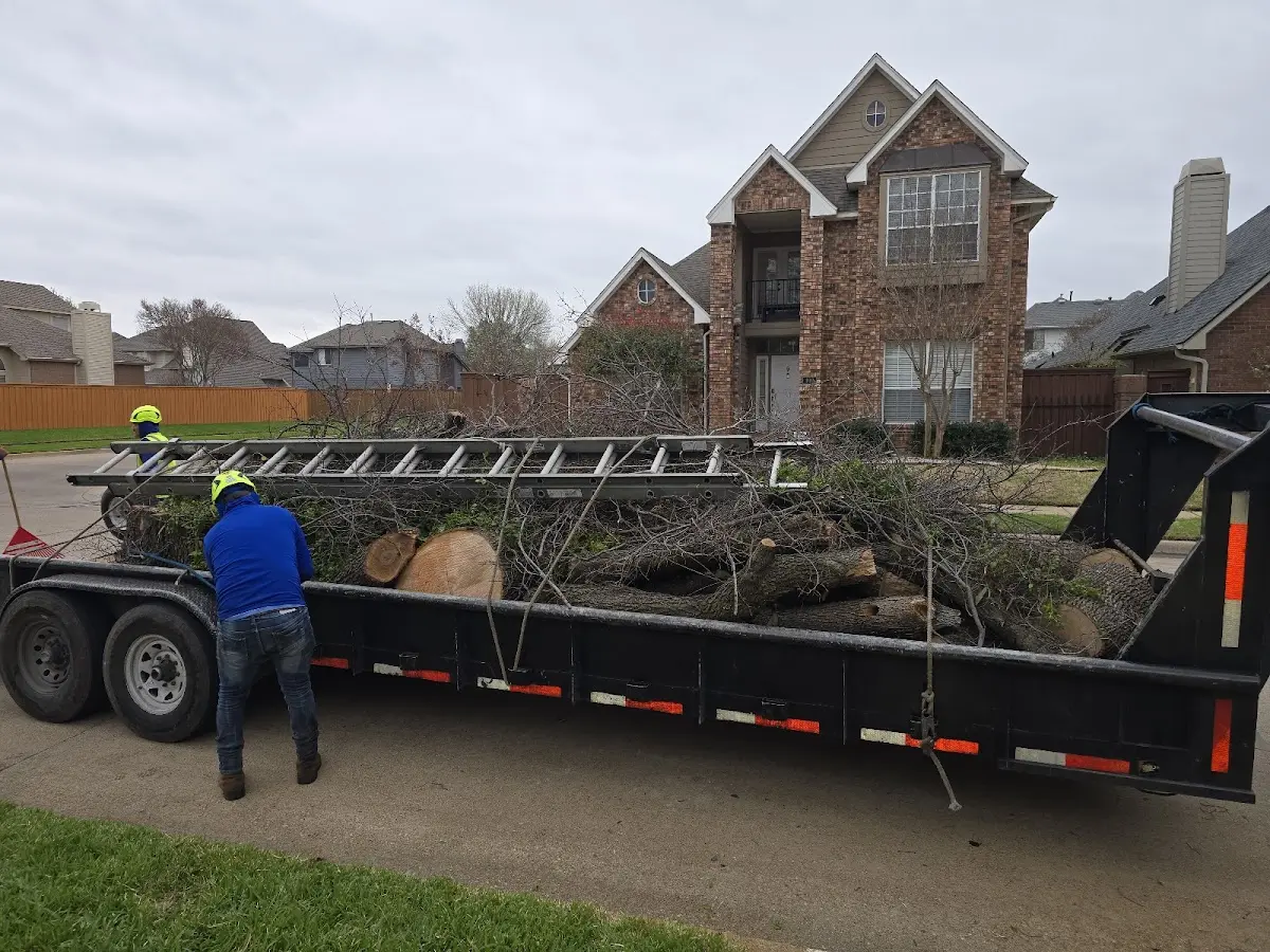 Expert Tree Fertilization with proper safety equipment in Seanor